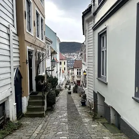 Cozy In Popular Street Lejlighed Bergen