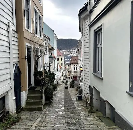 Cozy In Popular Street Apartament Bergen